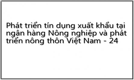Phát triển tín dụng xuất khẩu tại ngân hàng Nông nghiệp và phát triển nông thôn Việt Nam - 24