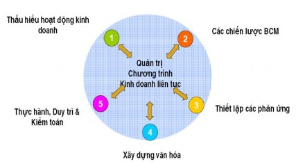Nguồn 40 Trong Quản lý kinh doanh liên tục khâu thiết lập các phản ứng là 1