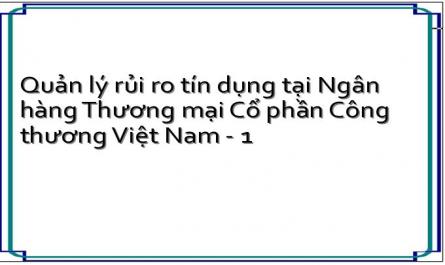 Quản lý rủi ro tín dụng tại Ngân hàng Thương mại Cổ phần Công thương Việt Nam - 1