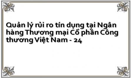 Quản lý rủi ro tín dụng tại Ngân hàng Thương mại Cổ phần Công thương Việt Nam - 24