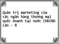 Quản trị marketing của các ngân hàng thương mại quốc doanh tại nước CHDCND Lào - 8