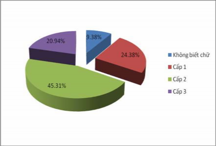 Biểu đồ 3 7 Cơ cấu lao động của hộ sản xuất cà phê theo trình độ văn 1