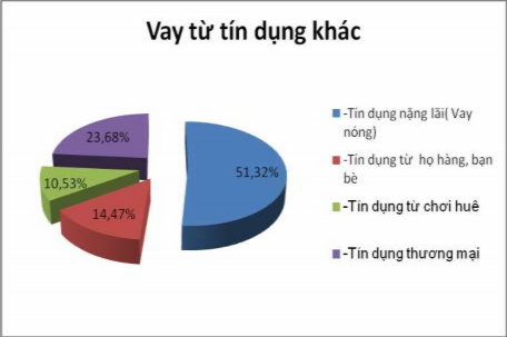 Biểu đồ 3 8 Hộ sản xuất cà phê tiếp cận với các nguồn tín dụng khác 2