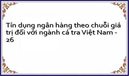 Tín dụng ngân hàng theo chuỗi giá trị đối với ngành cá tra Việt Nam - 26