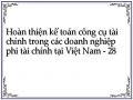 Hoàn thiện kế toán công cụ tài chính trong các doanh nghiệp phi tài chính tại Việt Nam - 28