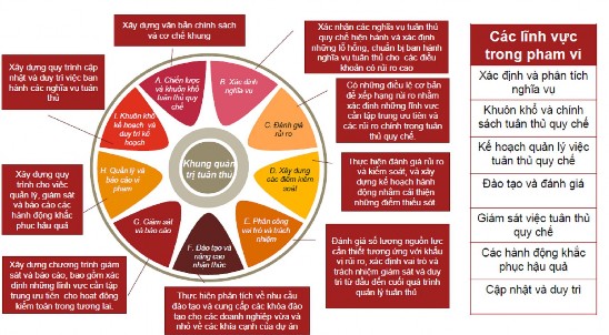 Cận đề xuất doanh nghiệp nên áp dụng khi thành lập khung quản trị tuân thủ 6