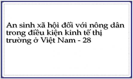 An sinh xã hội đối với nông dân trong điều kiện kinh tế thị trường ở Việt Nam - 28