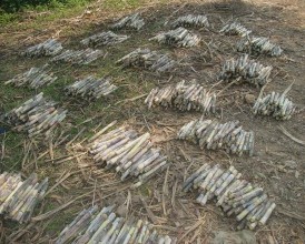 Chuẩn bị hom giống Thí nghiệm lượng bón K Bón lót trước khi trồng Thí nghiệm 1