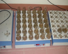 Xử lý mẫu lá mía của thí nghiệm lượng bón K Xử lý mẫu đất 1 Kết luận 7