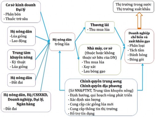 Đối tượng liên kết chủ yếu trong mô hình này là các sản phẩm đầu vào như 1