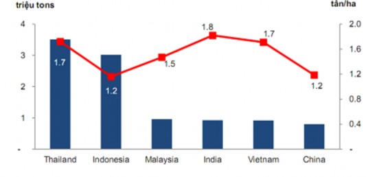 Nguồn Bloomberg 2013 Biểu đồ 2 15 Vị thế của ngành cao su Việt Nam 2013 Cao su 1