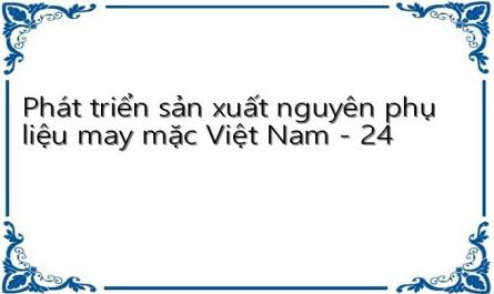 Phát triển sản xuất nguyên phụ liệu may mặc Việt Nam - 24