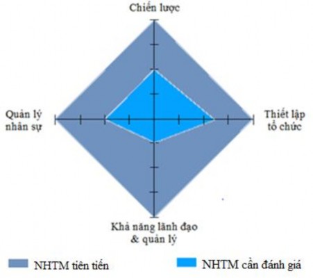Hình 3 1 Mẫu điểm đánh giá cho các NHTM về chiến lược tăng trưởng tín dụng 1