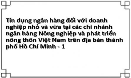 Tín dụng ngân hàng đối với doanh nghiệp nhỏ và vừa tại các chi nhánh ngân hàng Nông nghiệp và phát triển nông thôn Việt Nam trên địa bàn thành phố Hồ Chí Minh - 1