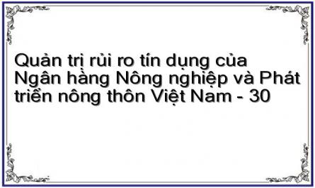 Quản trị rủi ro tín dụng của Ngân hàng Nông nghiệp và Phát triển nông thôn Việt Nam - 30