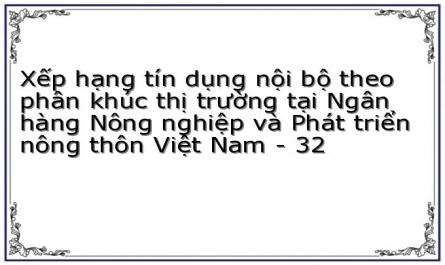 Xếp hạng tín dụng nội bộ theo phân khúc thị trường tại Ngân hàng Nông nghiệp và Phát triển nông thôn Việt Nam - 32