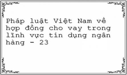 Pháp luật Việt Nam về hợp đồng cho vay trong lĩnh vực tín dụng ngân hàng - 23