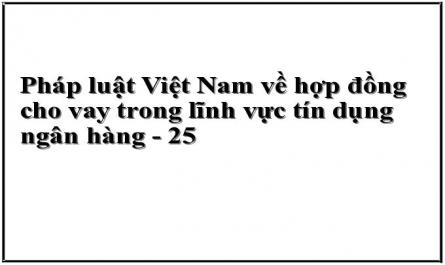 Pháp luật Việt Nam về hợp đồng cho vay trong lĩnh vực tín dụng ngân hàng - 25