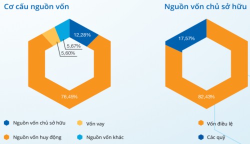 Hình 3 1 Cơ cấu nguồn vốn và vốn chủ sở hữu của Ngân hàng HTX năm 2017 Với 1