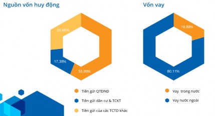 Hình 3 2 Cơ cấu nguồn vốn huy động và vốn vay của Ngân hàng HTX năm 2017 Cơ 2