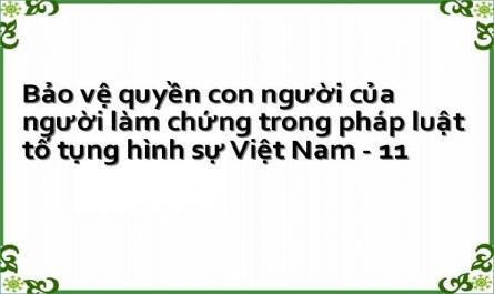 Bảo vệ quyền con người của người làm chứng trong pháp luật tố tụng hình sự Việt Nam - 11