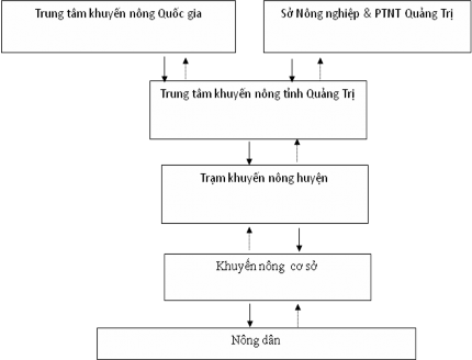 Hình 4 1 Hệ thống chuyển giao theo kênh khuyến lâm ở Quảng Trị Hệ thống 1