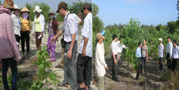 Hình 4 2 Tập huấn kỹ thuật tại hiện trường cho các hộ dân tại xã Triệu 1