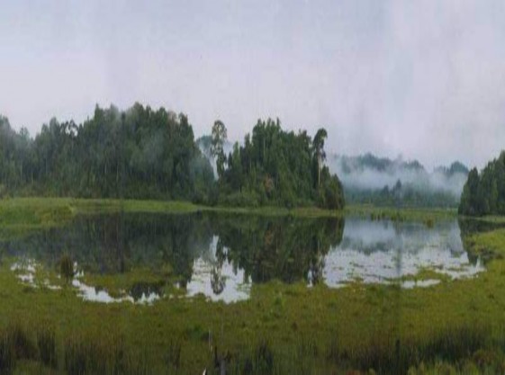 Hình 4 11 Sinh cảnh Bàu Sấu tại VQG Cát Tiên Hình 4 12 Du khách tới Vườn Quốc 3