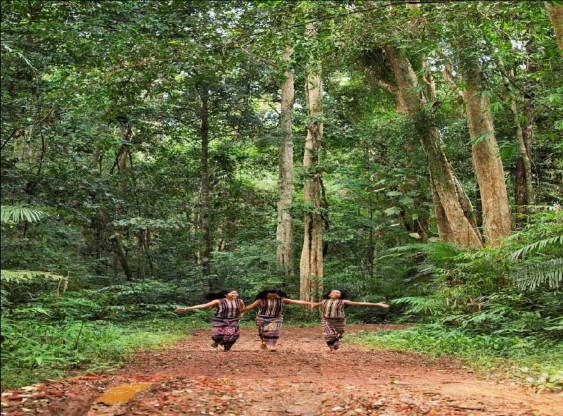 Hình 4 12 Du khách tới Vườn Quốc gia Cát Tiên 103 Hình 4 13 Một số hình ảnh 4