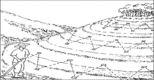 Hình 4 12 Bố trí hố trồng cây nguồn dự án KfW6 Kỹ thuật cuốc hố 1