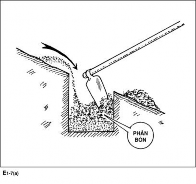 Hình 4 13 Lấp hố kết hợp bón phân nguồn dự án KfW6 e Kỹ thuật trồng 2
