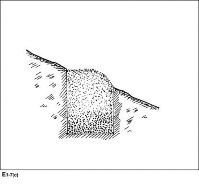 Hình 4 13 Lấp hố kết hợp bón phân nguồn dự án KfW6 e Kỹ thuật trồng 4