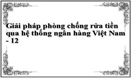 Giải pháp phòng chống rửa tiền qua hệ thống ngân hàng Việt Nam - 12
