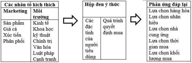 Sơ đồ 1 2 Mô hình hành vi mua của người tiêu dùng Nguồn Marketing căn bản 1