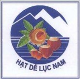 Nguồn Cục Sở hữu trí tuệ Phụ lục 4 Danh mục nhãn hiệu tập thể đang 8