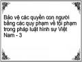 Ý Nghĩa Của Bảo Vệ Các Quyền Con Người Bằng Những Quy Phạm Về Tội Phạm Của Pháp Luật Hình Sự Việt Nam