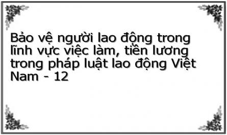 Bảo vệ người lao động trong lĩnh vực việc làm, tiền lương trong pháp luật lao động Việt Nam - 12