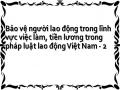 Bảo vệ người lao động trong lĩnh vực việc làm, tiền lương trong pháp luật lao động Việt Nam - 2