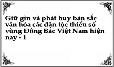 Giữ gìn và phát huy bản sắc văn hóa các dân tộc thiểu số vùng Đông Bắc Việt Nam hiện nay - 1