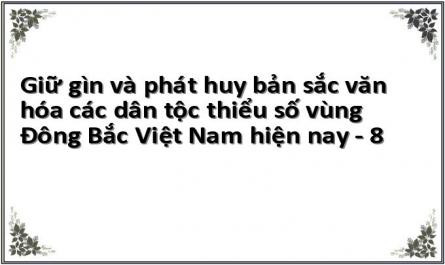 Giữ gìn và phát huy bản sắc văn hóa các dân tộc thiểu số vùng Đông Bắc Việt Nam hiện nay - 8