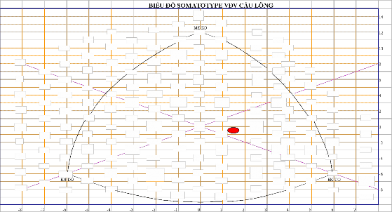 Hình 3 1 Cấu trúc hình thể somatotype của nữ VĐV cầu lông cấp cao Việt Nam 1