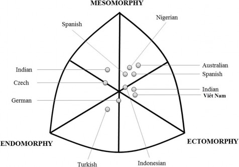 Hình 3 2 Cấu trúc hình thể Somatotype trung bình của VĐV nữ cầu lông cấp cao 2