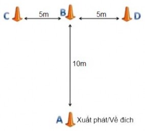 Hình 2 2 Agility T test chạy tốc độ theo hình chữ T Test ném biên tại chỗ 2