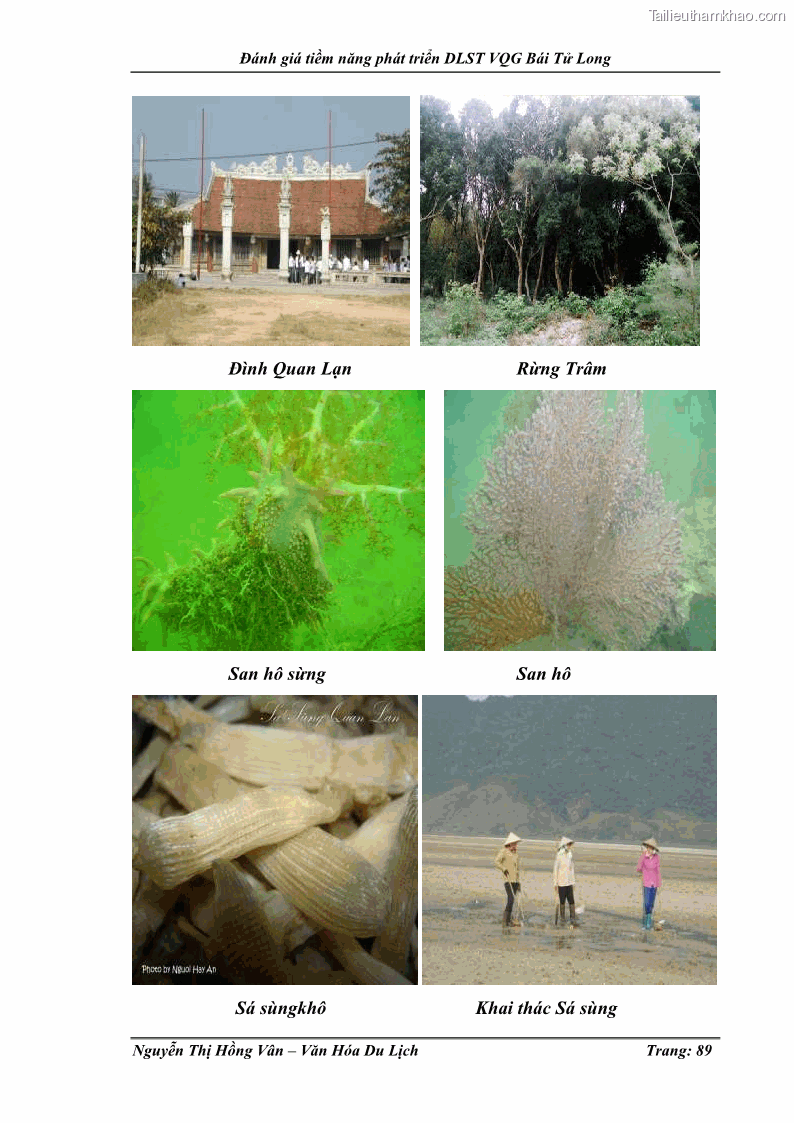 Khóa luận tốt nghiệp Văn hóa du lịch Đánh giá tiềm năng phát triển du lịch sinh thái VQG Bái Tử Long - 12 Trang 89