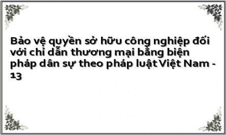 Bảo vệ quyền sở hữu công nghiệp đối với chỉ dẫn thương mại bằng biện pháp dân sự theo pháp luật Việt Nam - 13