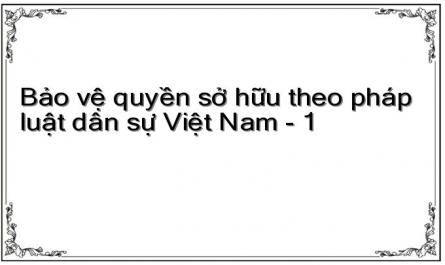 Bảo vệ quyền sở hữu theo pháp luật dân sự Việt Nam - 1