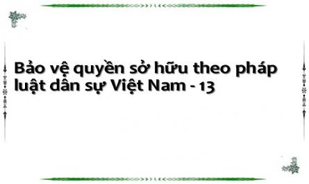 Bảo vệ quyền sở hữu theo pháp luật dân sự Việt Nam - 13
