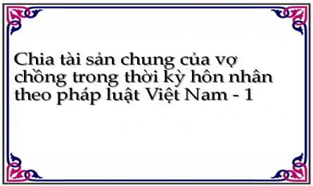Chia tài sản chung của vợ chồng trong thời kỳ hôn nhân theo pháp luật Việt Nam - 1