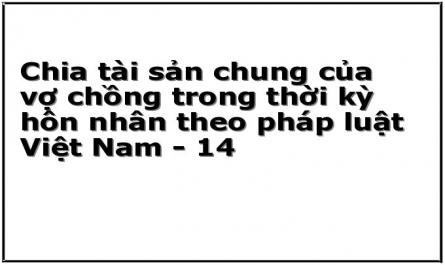 Chia tài sản chung của vợ chồng trong thời kỳ hôn nhân theo pháp luật Việt Nam - 14