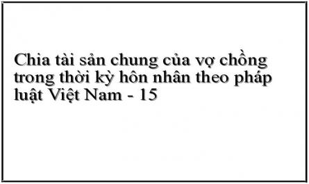 Chia tài sản chung của vợ chồng trong thời kỳ hôn nhân theo pháp luật Việt Nam - 15